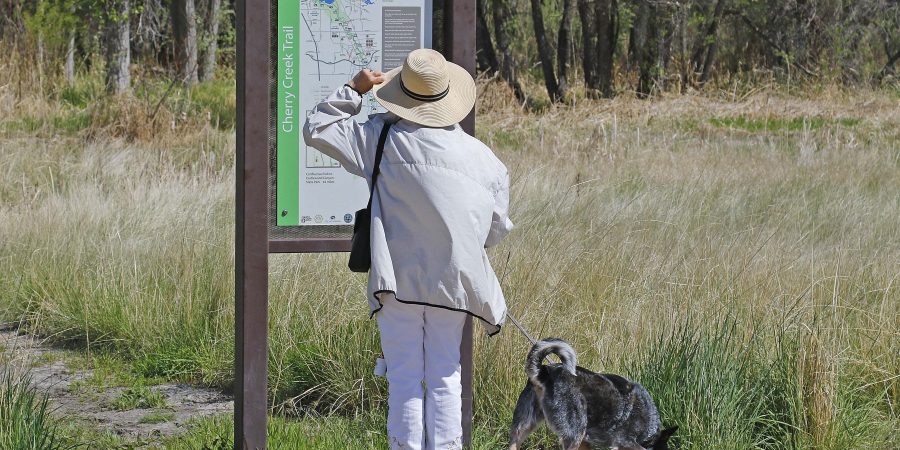 Dog off leash area at Cherry Creek State Park to temporarily close for