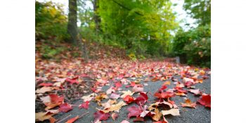 Adams County News – 2016 Leaf Collection Event