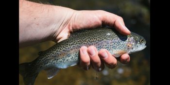 Fishful Thinker TV filmed upcoming season at Colorado state parks