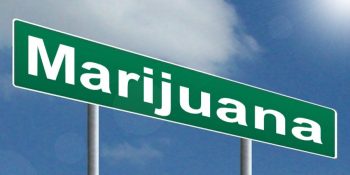 Marijuana Annual Data Report for 2017 Released