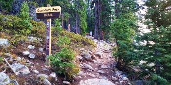 Mountain goats shot dead on Quandary Peak Trail — CAN YOU ID ME?