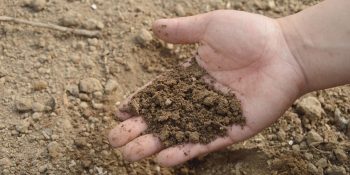 USDA and the City and County of Denver Partner to Publish a Soil Survey of Denver County