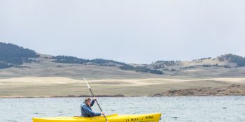 Eleven Mile State Park is experiencing natural algae blooms