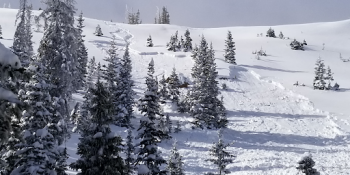 CO Avalanche Info Center Urges Extra Care: Three People Killed in Two Days Linked to Unusually Dangerous Avalanche Conditions