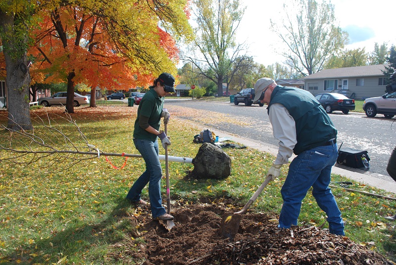 Plant Trees to Celebrate Arbor Day in Colorado – The I-70 Scout ...