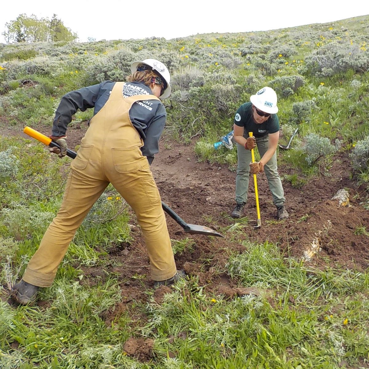 Colorado Parks and Wildlife partners with Youth Corps Association to fund $398 thousand in OHV trail maintenance projects