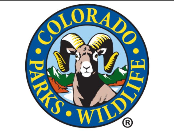 Colorado Parks and Wildlife tracks wide-ranging movements of gray wolves as part of this month’s Collared Gray Wolf Activity Map update
