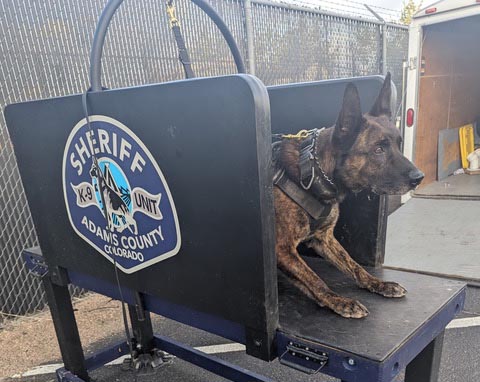 K9 Tigger Retires from Paw Enforcement